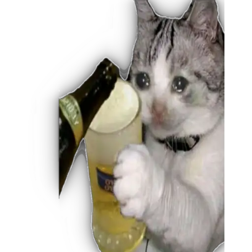 QUÉDATE EN CASA