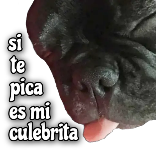 QUÉDATE EN CASA