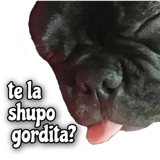 QUÉDATE EN CASA