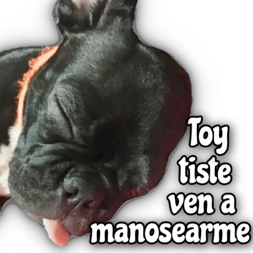 QUÉDATE EN CASA