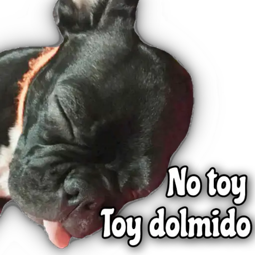 QUÉDATE EN CASA