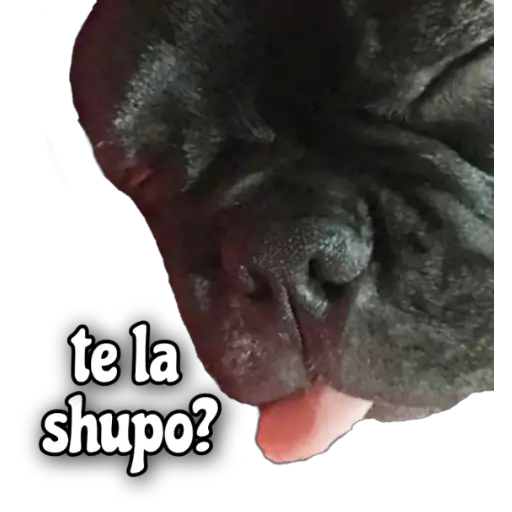 QUÉDATE EN CASA