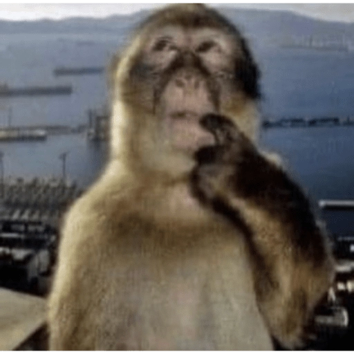Monitos graciosos🤣 