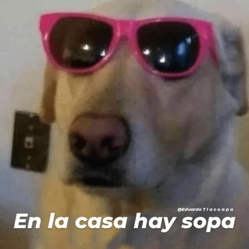 Stickers pal grupo mi so😂🤣 