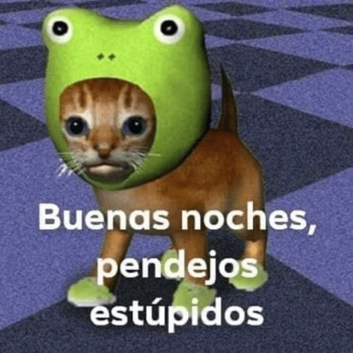 Stickers pal grupo mi so😂🤣 