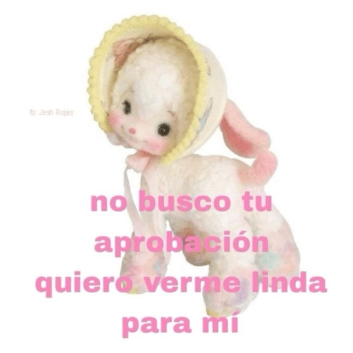 Stickers pal grupo mi so😂🤣 