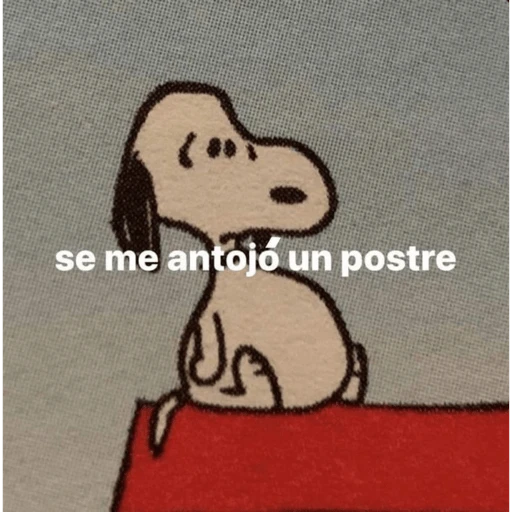 Stickers pal grupo mi so😂🤣 