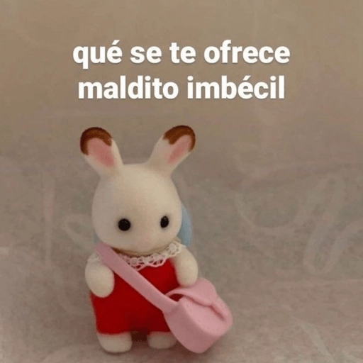 Stickers pal grupo mi so😂🤣 
