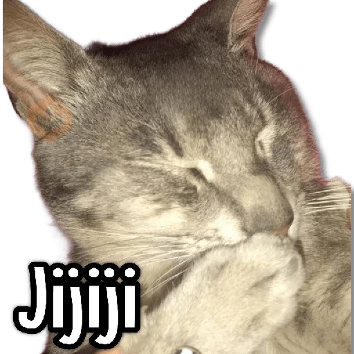 MIX de Memes! #7🌿 sticker 15