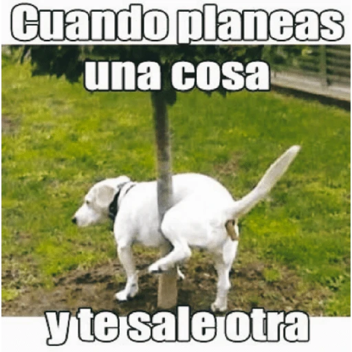 😂•Lunes de Memes•🤣 