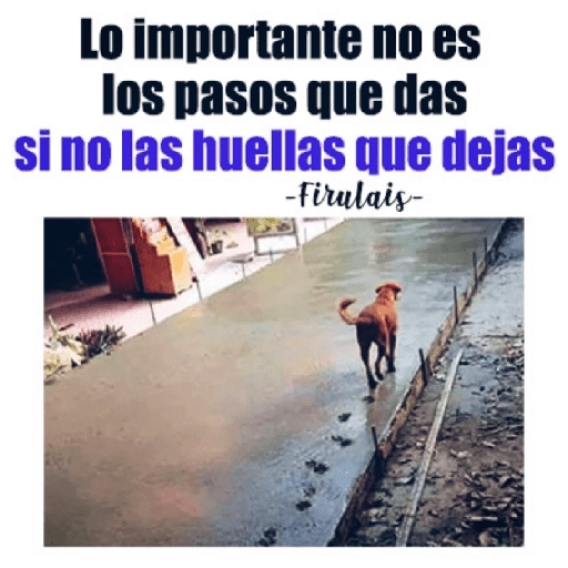 😂•Lunes de Memes•🤣 