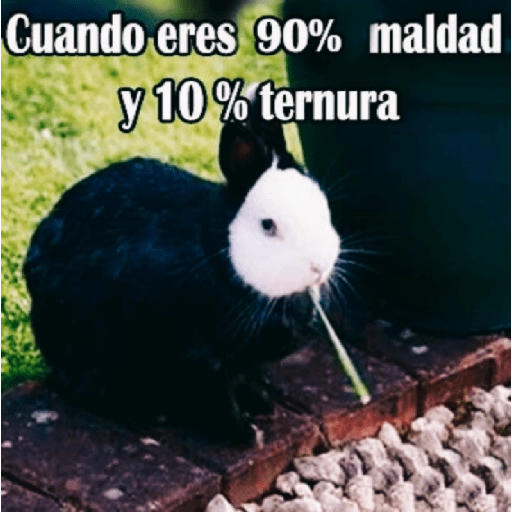 😂•Lunes de Memes•🤣 