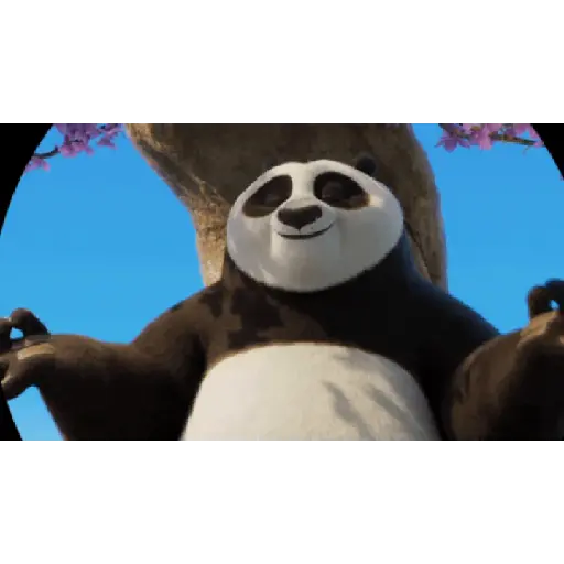 Kun fu panda 🐼 