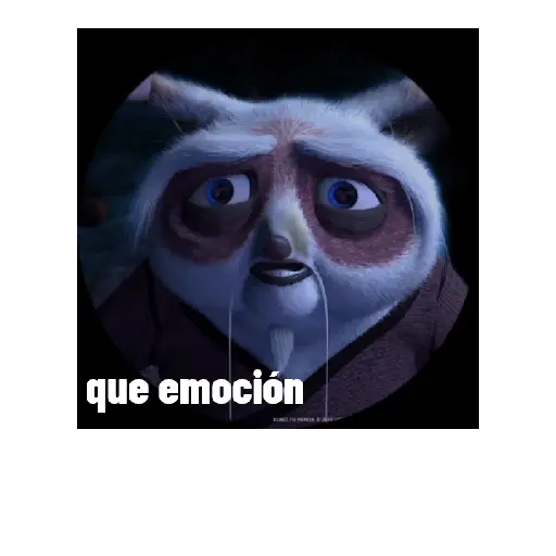 Kun fu panda 🐼 