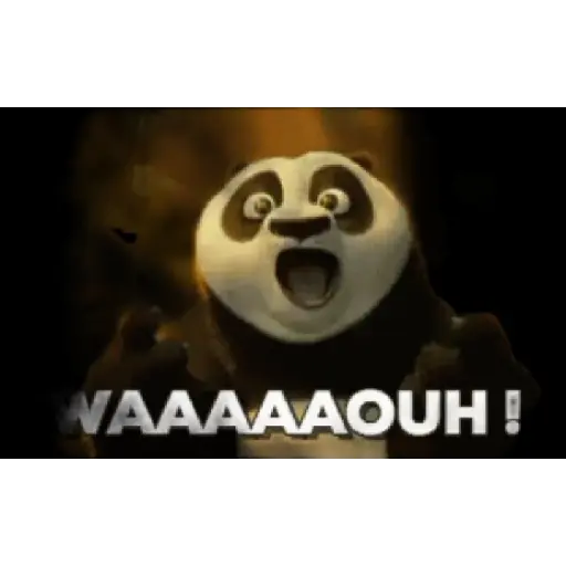 Kun fu panda 🐼 