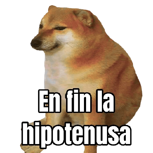 Memes Randoms Para Enviar 