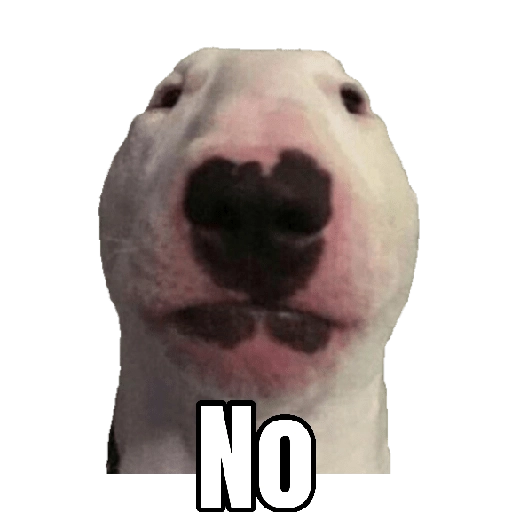 Memes Randoms Para Enviar 