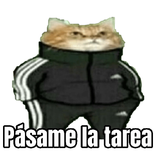 Memes Randoms Para Enviar 