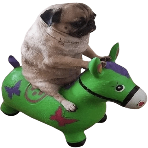 Doggies Memes 