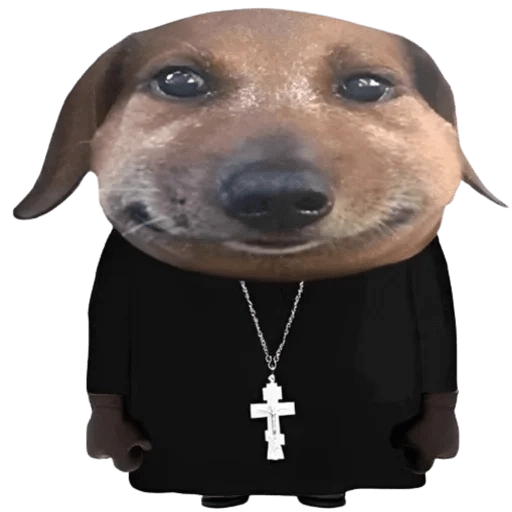 Doggies Memes 