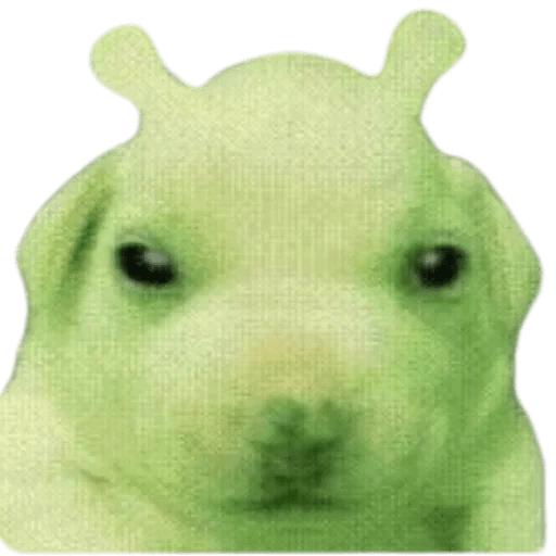 Doggies Memes 