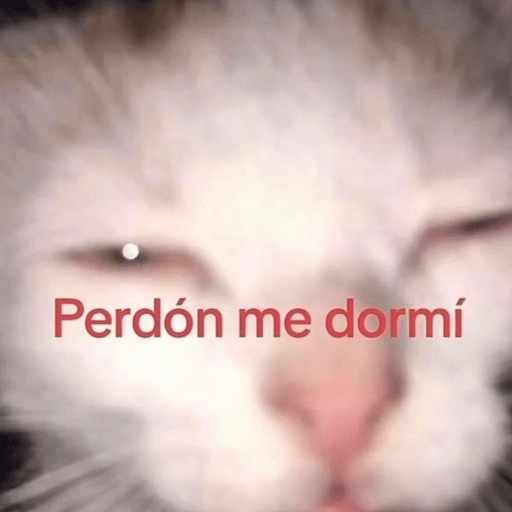 Stickers de memesitos😌😂 