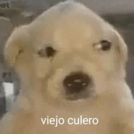 Stickers de memesitos😌😂 