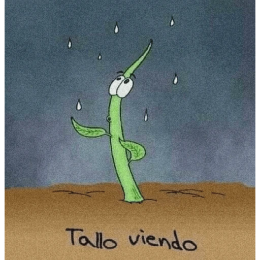 🤪Notas~Humor🤣  preview