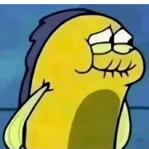 Moods XD 