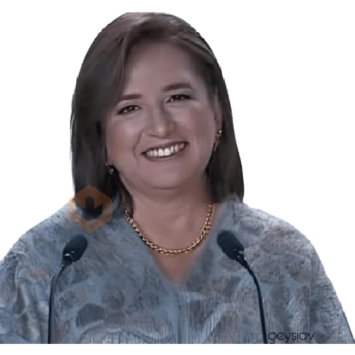 🇲🇽 Segundo debate memes👩‍⚖️ sticker 23