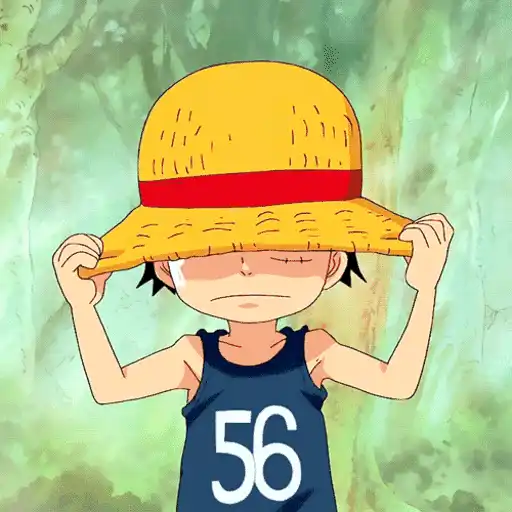 One Piece ☠ Monkey D Luffy Mov