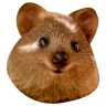 tray-icon