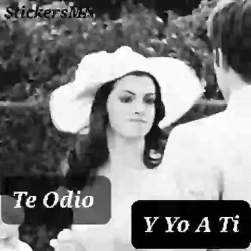 El Diario De La Princesa 👑 Mov
