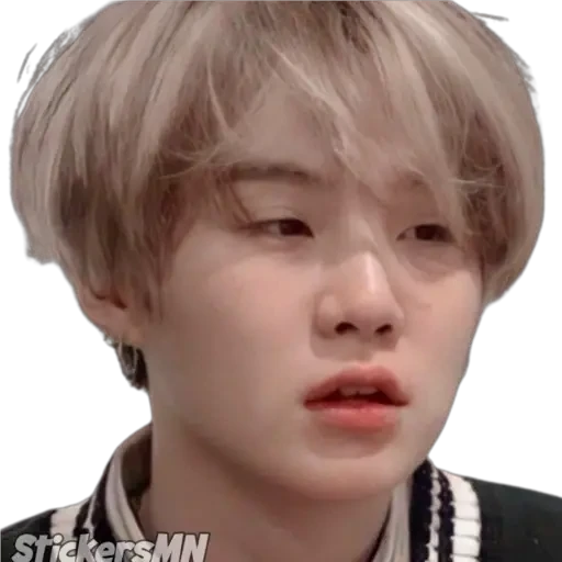 Suga - BTS 🧑🏻‍🎤