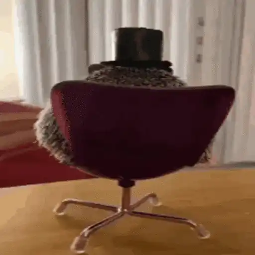 Erizo 🦔 Mov