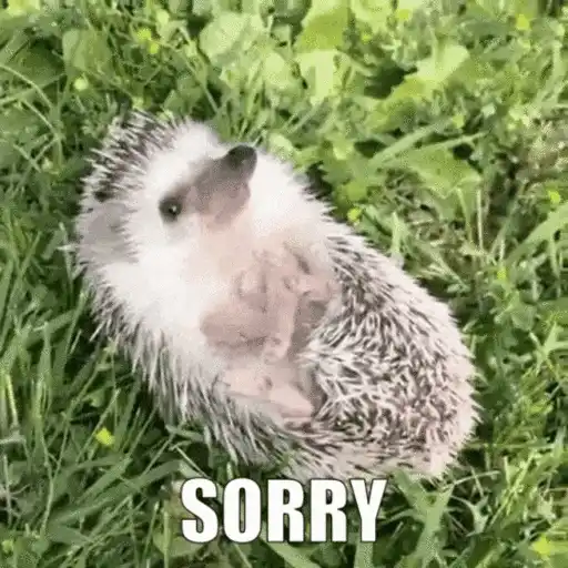 Erizo 🦔 Mov