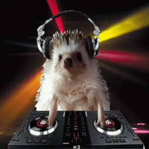 Erizo 🦔 Mov