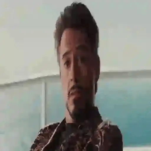 Robert Downey Jr - Mov