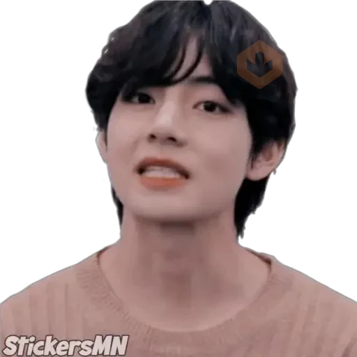 V - BTS 🧑🏻‍🎤 sticker 25