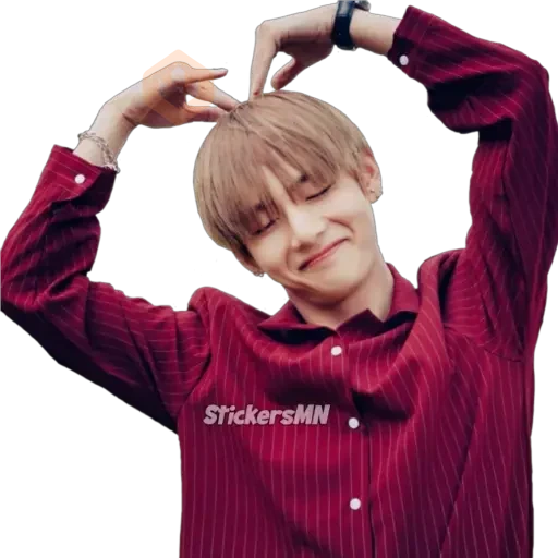 V - BTS 🧑🏻‍🎤 sticker 19
