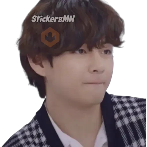 V - BTS 🧑🏻‍🎤 sticker 27