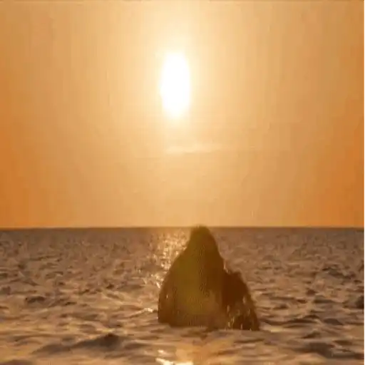 The Little Mermaid 2023 🧜‍♀️ Mov