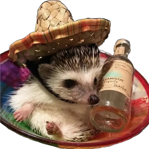 Erizo 🦔 preview