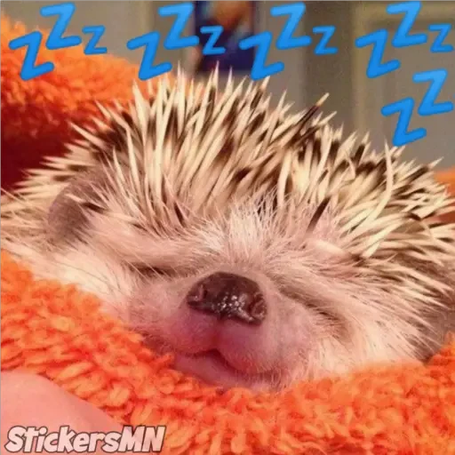Erizo 🦔