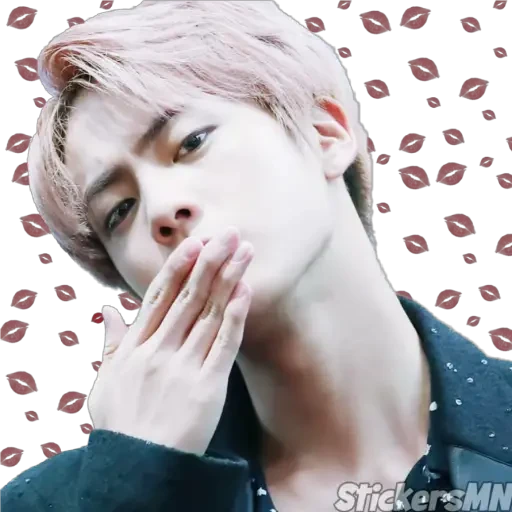 Jin - BTS 🧑🏻‍🎤