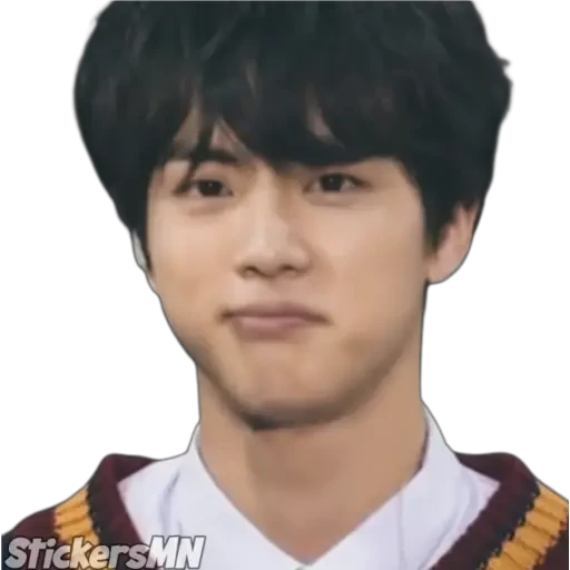 Jin - BTS 🧑🏻‍🎤
