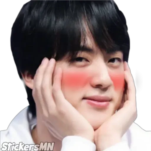 Jin - BTS 🧑🏻‍🎤