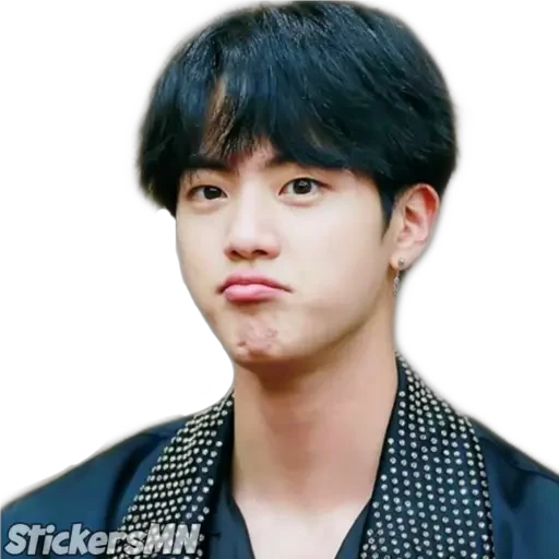 Jin - BTS 🧑🏻‍🎤