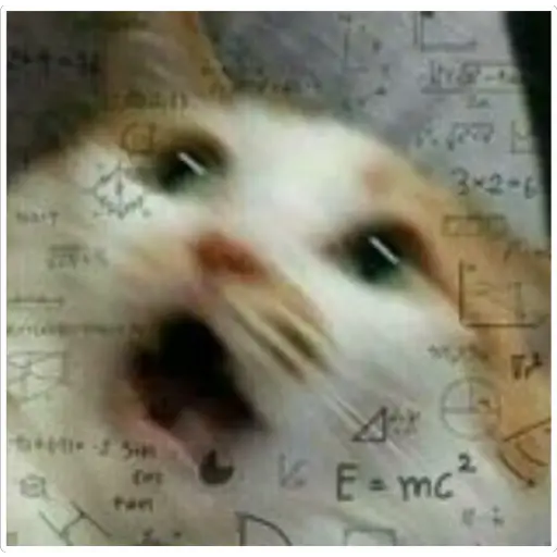 GatosFaces✧◝(⁰▿⁰)◜✧ 