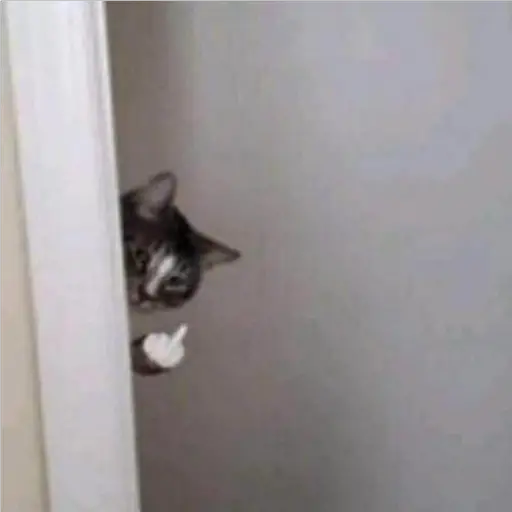 GatosFaces✧◝(⁰▿⁰)◜✧ 